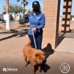 171788180_1166814870399583_3847908325404578739_n